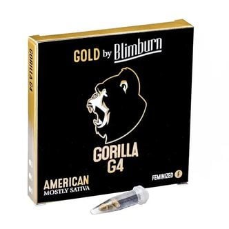 Gorilla Glue 4 (Blimburn Seeds) feminized