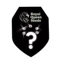 Feminized Mystery Seeds 5 (Royal Queen Seeds)
