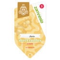 Apple Fritter Automatic (Zamnesia Seeds) feminisiert