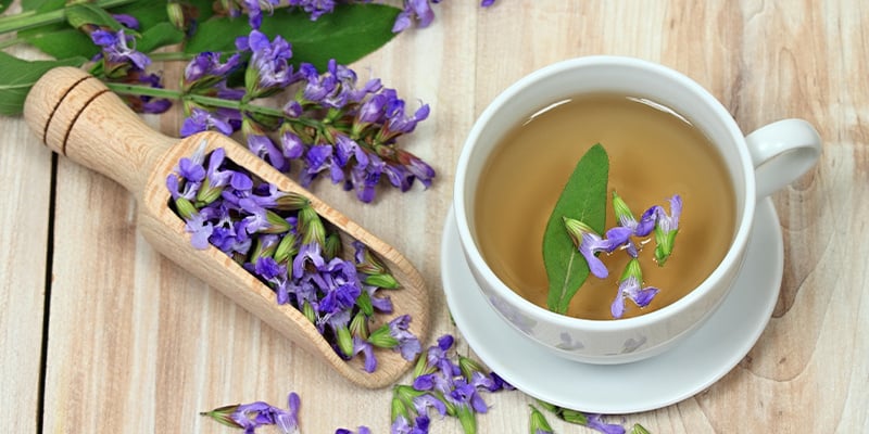 Wie wirkt Salvia divinorum?