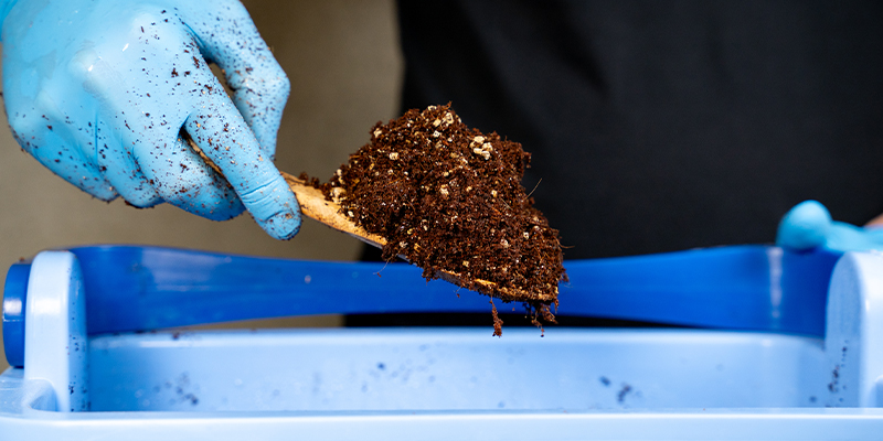 How to use coco coir as a potting medium