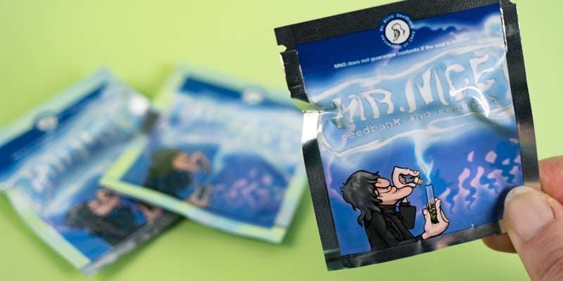 Packaging Mr. Nice Seeds Packaging Mr. Nice Seeds