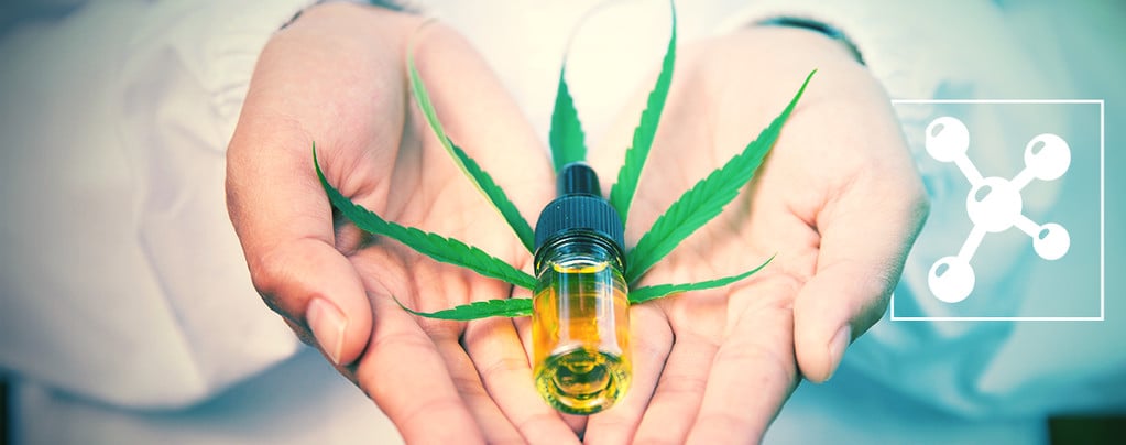 CBG Vs. CBD